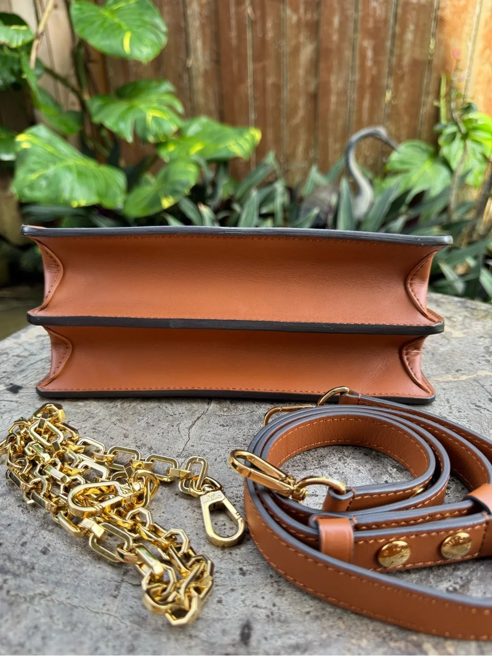 Louis Vuitton Dauphin MM Monogram Reverse Shoulder and Crossbody Bag🤍